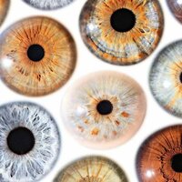 Александра Верчинская