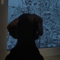 Алёна Кретова