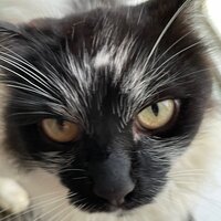 София Маслова