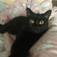 Юрий О.