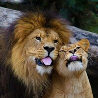 Кристина Чамзинская