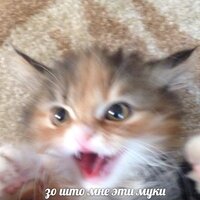 Салих Нурмухаметов