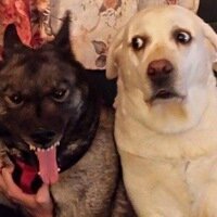 Евгений Шлягин