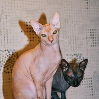 Щербакова Людмила