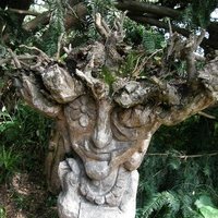 Виноградова Мария