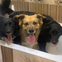 Марина Прошина