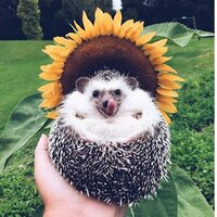 Яна Кожевникова