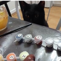 Мирослава Пенькова