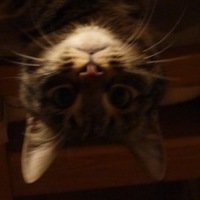 Леонид Калашников