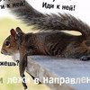 xy39tck6qavt35whg2b363fv74