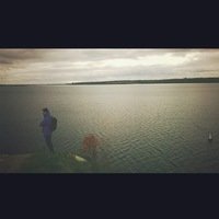 Никита Юкович