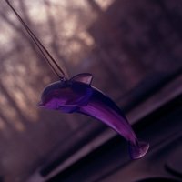 Данил Яковлев