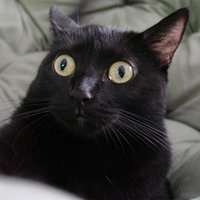 Александр Ж.