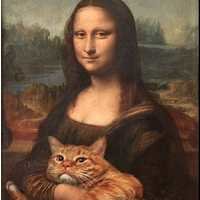 Екатерина Н.