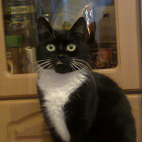 Наталья Журавлева