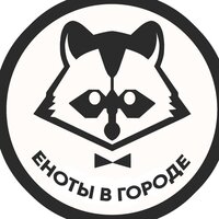 Еноты в Городе
