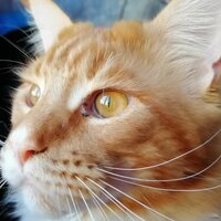 Марина Мартынюк