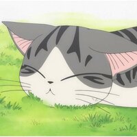 Надежда Кравцова