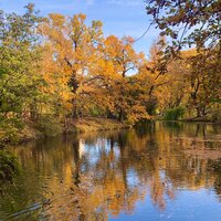 Анастасия Мамонтова