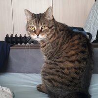 Зинаида Козлова