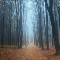 Александра