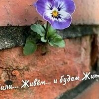 Наталь? Ковалева