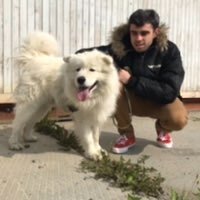 Николай Тимофеев