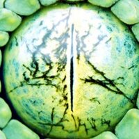 Дмитрий Горбунов