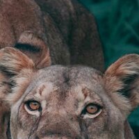 Раиса Канищева