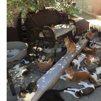 Дом - это стены...