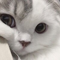 Кирилл Тимошин