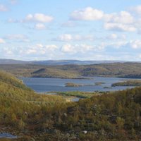 Дмитрий Мельничук