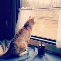 Айгуль Агзамова