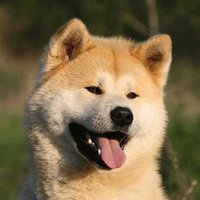 Лилия Лысякова