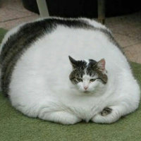 Иван Мамайко