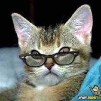 александр з.