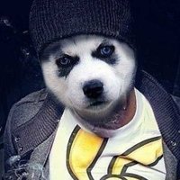 Жека Кружилин