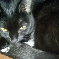 Виктория П.