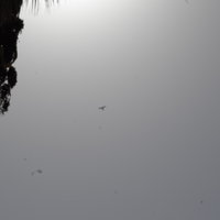 Владимир к.