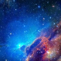 Катя Долганина