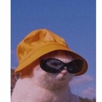 Анастасия Салмина