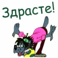Яна Гайдук