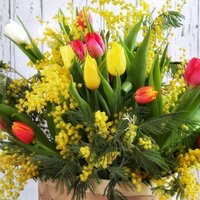 Галина Ясинская