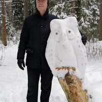 андрей смирнов