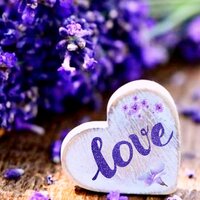 Светлана К.