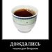 Максим Фролов