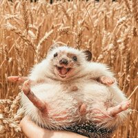 Ольга Есетова