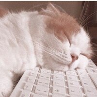 Маргарита Релина