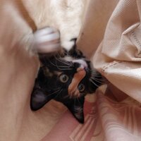 Екатерина С