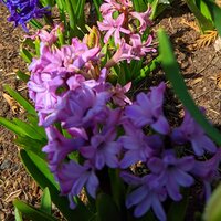 Валерий Медведев